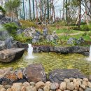 중앙동137 이미지