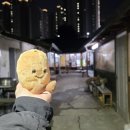 큰마당 | 춘천 막국수 맛집 | 직접 농사해서 만드시는 큰마당막국수 후기