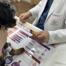 종로동물병원 이미지