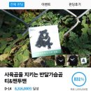 아프리카 당구장 | 2024.12.13-14