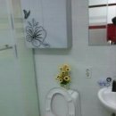 서련코아 이미지