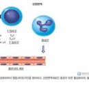 베체트병이란? 증상 원인 치료 산정특례 이미지