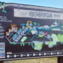 솔향기둥지 이미지