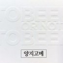 양지고메 이미지
