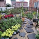 깊은샘유치원 | 스트레스를 아로마 오일로, 영도 데이트하기 좋았던 브리사뜰