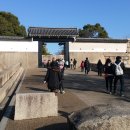 제주청년회 이미지