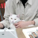 어반스케치, 여행스케치 이미지