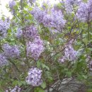 서운동경로당 이미지