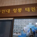 용인대 정의태권도 | 남양주 평내동태권도 용인대석사청룡태권도 어린이태권도교실 태권도시범단운영