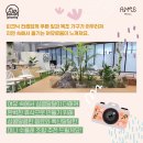 스며든몰 이미지