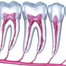 연세한강치과의원 이미지