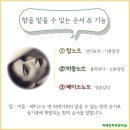 진피부관리실 네이버블로그