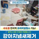 골드빌라 | 강서구청소업체 골드타운빌라 투룸 반려견 강아지 냄새제거 후기