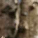 오한수한의원 이미지