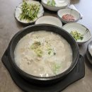 돼지나라 이미지