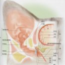아틀라스동물의료센터 이미지