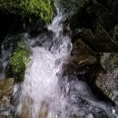 기성계곡 이미지