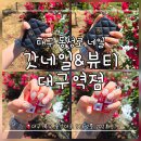 2418 | 대구 동성로 네일:: '갓네일&amp;뷰티 대구역점', 가성비 좋은 이달의 아트(3.5) 후기(소요시간 꿀팁)