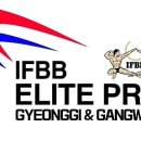 엘리트 프로짐 1호점 이미지