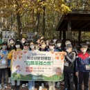숲체험 리틀 포레스트 이미지