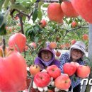 학림농장 이미지