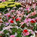 원복농장 이미지