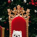 왈츠동물병원 이미지