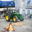Mercosur : le mauvais pari diplomatique de la France 이미지