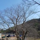 유서1리마을회관 이미지