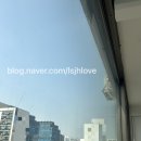 한스크린 네이버블로그