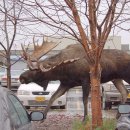 시슴