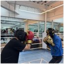 원포인트복싱짐 이미지