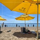 진하해변길L | 울산 진하해수욕장 물놀이 후기(무료 대여, 물놀이장, 주차 등)