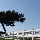 방울목장 이미지