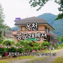 자연이랑민박 | 옥천펜션 추천 금모래펜션민박 자연뷰 좋은 옥천군펜션 후기