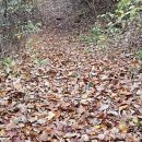 백운행정사사무소 이미지