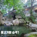 석문생각나무작은도서관 | 하동 지리산 물놀이 계곡 명소 석문식당 8월 후기