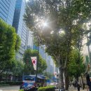 강남고려공인중개사사무소 이미지