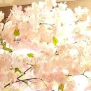 길상한의원 이미지