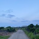 우도고래펜션 | 제주 우도 고래펜션 숙박 후기 ; 한번으로 만족하는 우도에서의 숙박