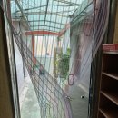 도산원탕 이미지