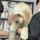 모량농장 이미지