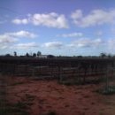 이언농장 이미지