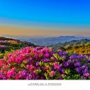 산상목장 이미지