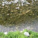 배내허브랜드 이미지