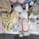 (주)펫투개더 | 마이펫페어 2026 일산 Part 1_금요일 오후 방문후기/댕신난 강아지 먹방🐶