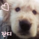 꽃차림 - 유성구 계룡로132번길 10 | 꽃차림