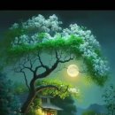 달빛풍경 이미지