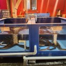 대하마트 사거리 이미지