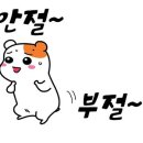 현자전거 이미지